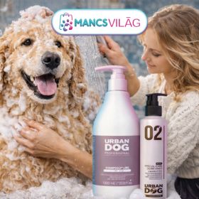 Göndör szőrű kutyák ápolása – hogy a puha fürtök mindig ápoltak és egészségesek maradjanak