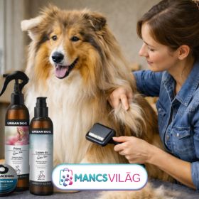 Hogyan ápoljuk hosszú szőrű kutyánk szőrét?